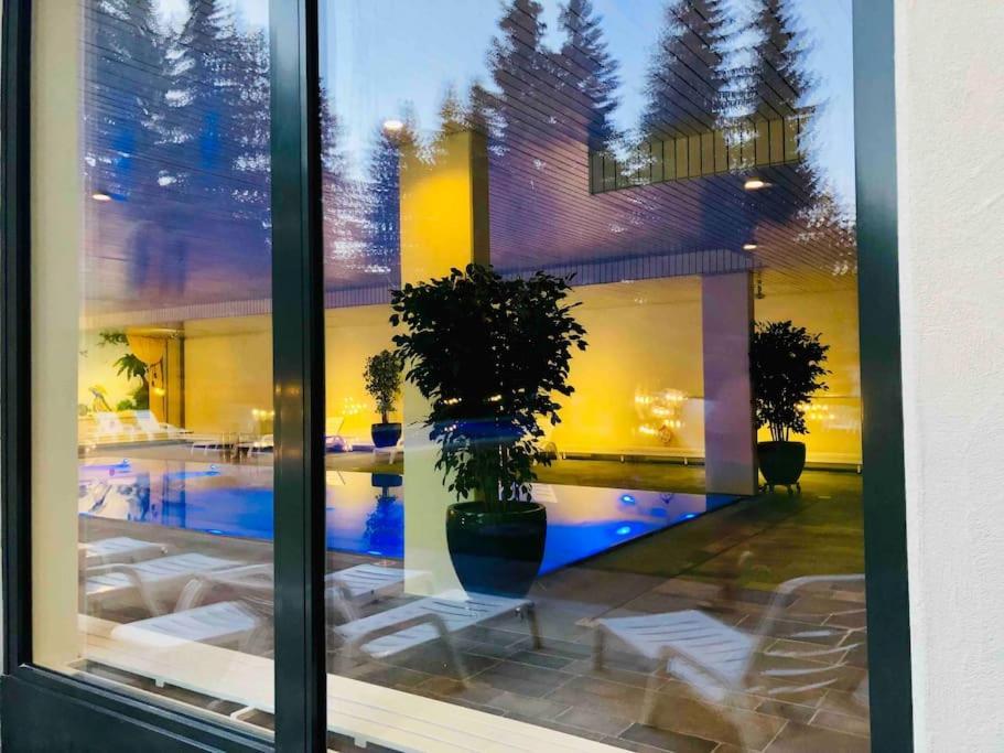 Modern Laax Apt, Swimming Pools, Wellness & Tennis Εξωτερικό φωτογραφία